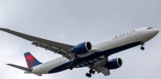 Unraveling the Delta Flight DL275 Diversion at LAX: What Led to the Unexpected Turn